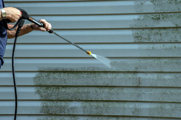 Best Exterior Home Cleaning  in Rossville, GA